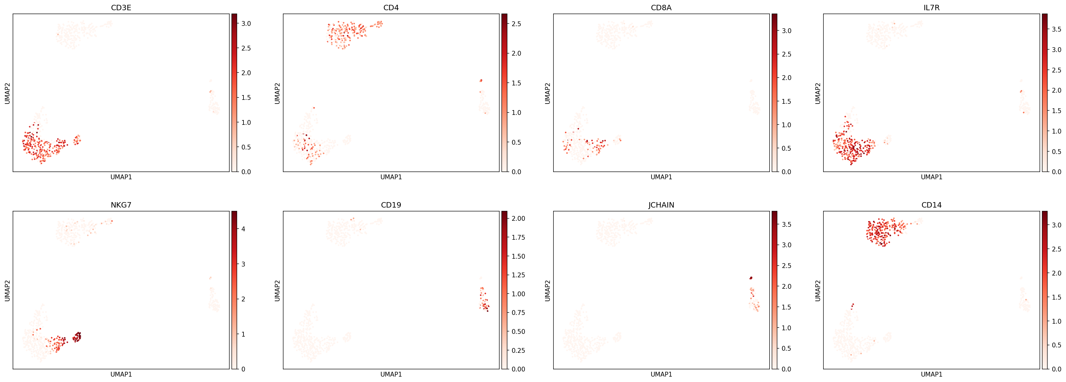_images/Pretrained_Classification_17_0.png