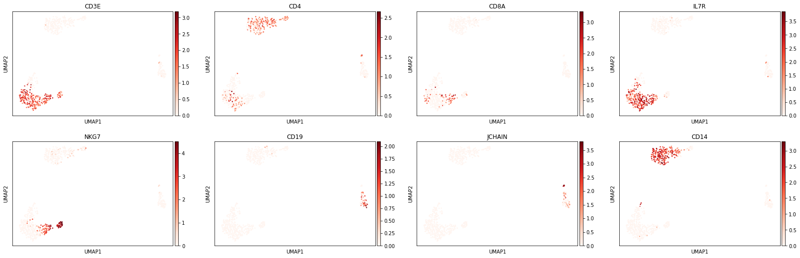 _images/Pretrained_Classification_17_0.png