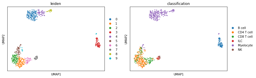 _images/Pretrained_Classification_26_1.png